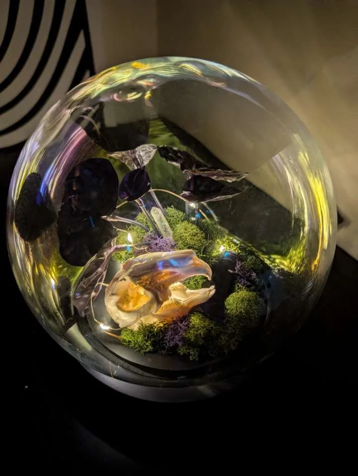 Animal skull in a lit glass globe with moss and crystals by Stabby Tabby Creations