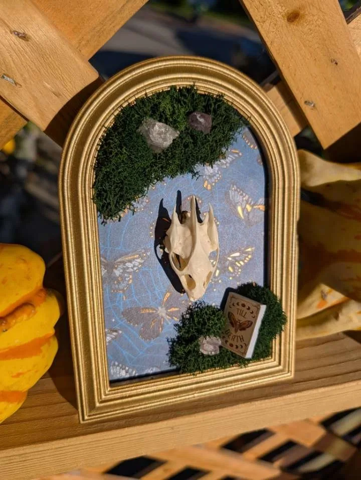 Framed skull with moss, crystals and butterflies by Stabby Tabby Creations